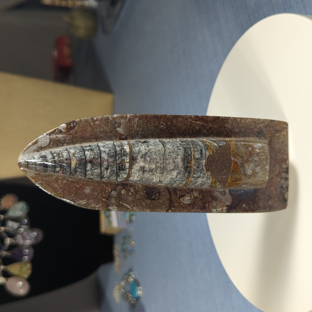 Orthoceras Fossil Display Approximately 6 1/2 X 2 1/4  Inches